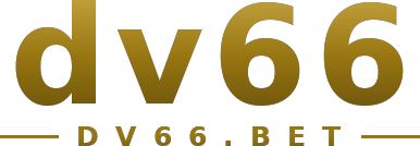 dv66 logo